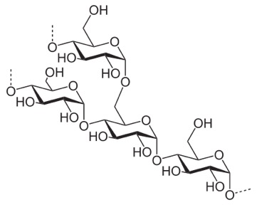 Starch with 1-6 branch point