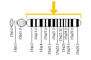 Chromosome15