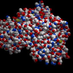 Hexokinase Full