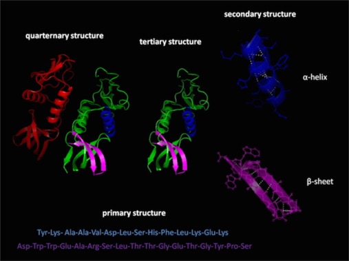 ProteinFolding