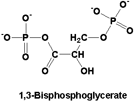 BIPGLYC