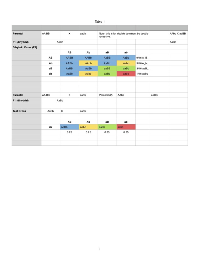 Dihybrid&#38;test cross-dihybrid