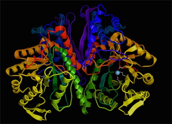 Enolase1