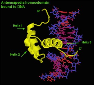 HomeoBoxBinding