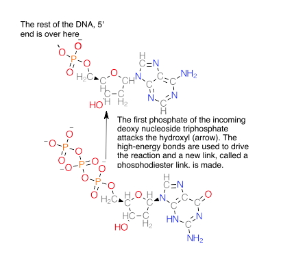 TransferReaction