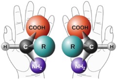 AminoAcidEnantiomr