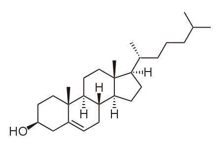 Cholesterol