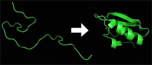 ProteinFolding1