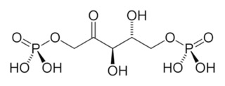 RuBP-2D-skeletal