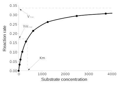 Saturation Kinetics